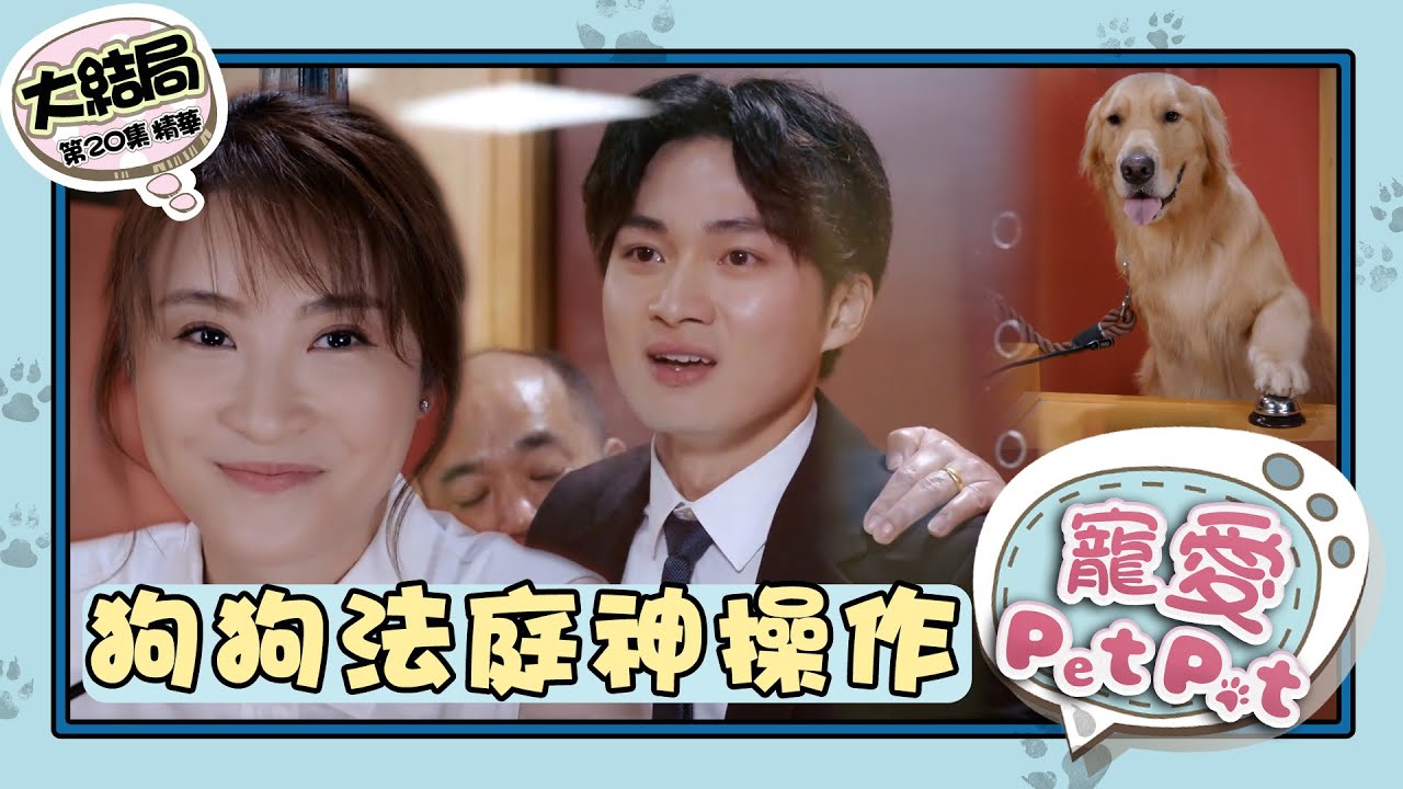 寵愛Pet Pet ｜第20集大結局加長版精華｜狗狗法庭上神操作  繁／簡／英字幕｜周嘉洛｜林夏薇｜寵物｜喜劇｜港劇｜電視劇