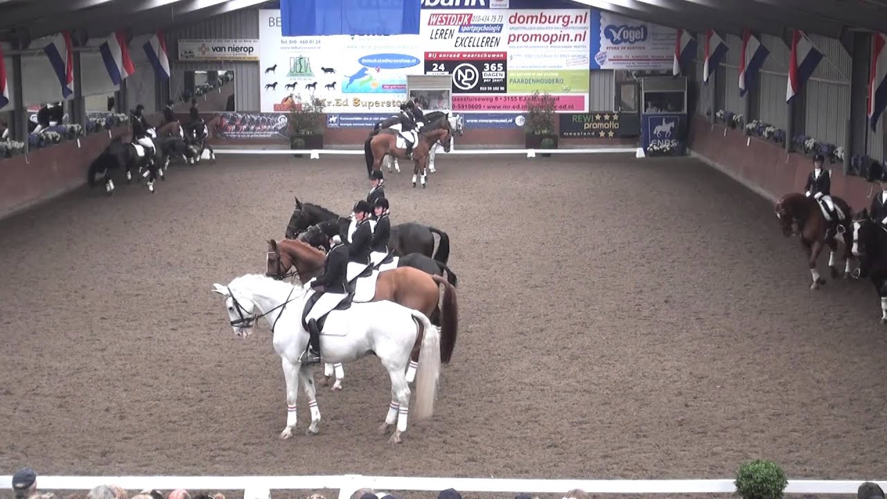 NK Carrousel 2015 - Manege Middenhof - Proef Bleijenberg's Tio Vivo