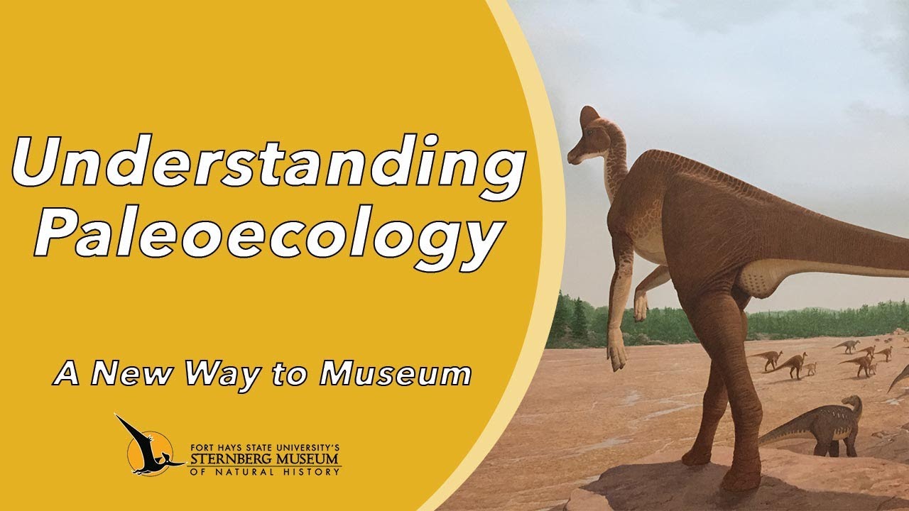 Understanding Paleoecology | A New Way to Museum