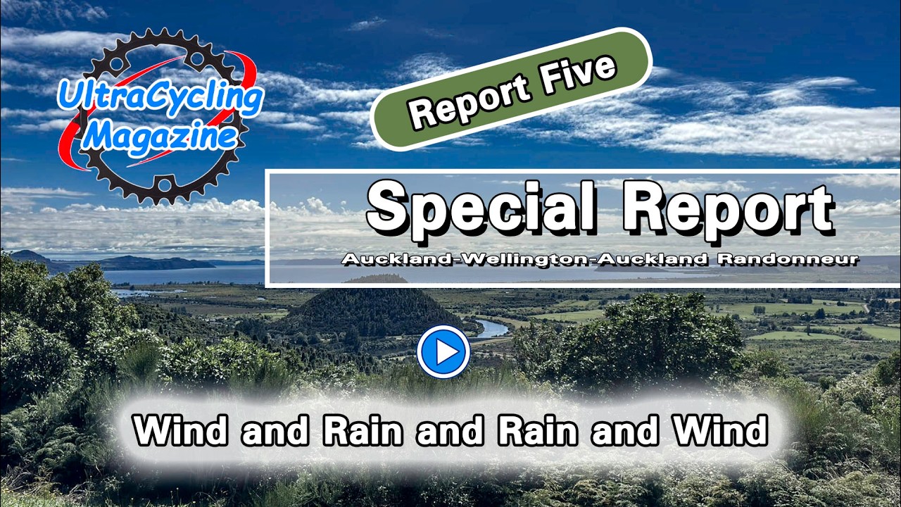 Report Five Auckland-Wellington-Auckland Randonneur Rain | Wind | Gravel | Bee Hive