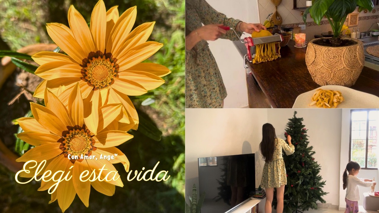 Diario de una vida tranquila 🪴| Quitando la Navidad en marzo y haciendo pasta desde cero 🍝