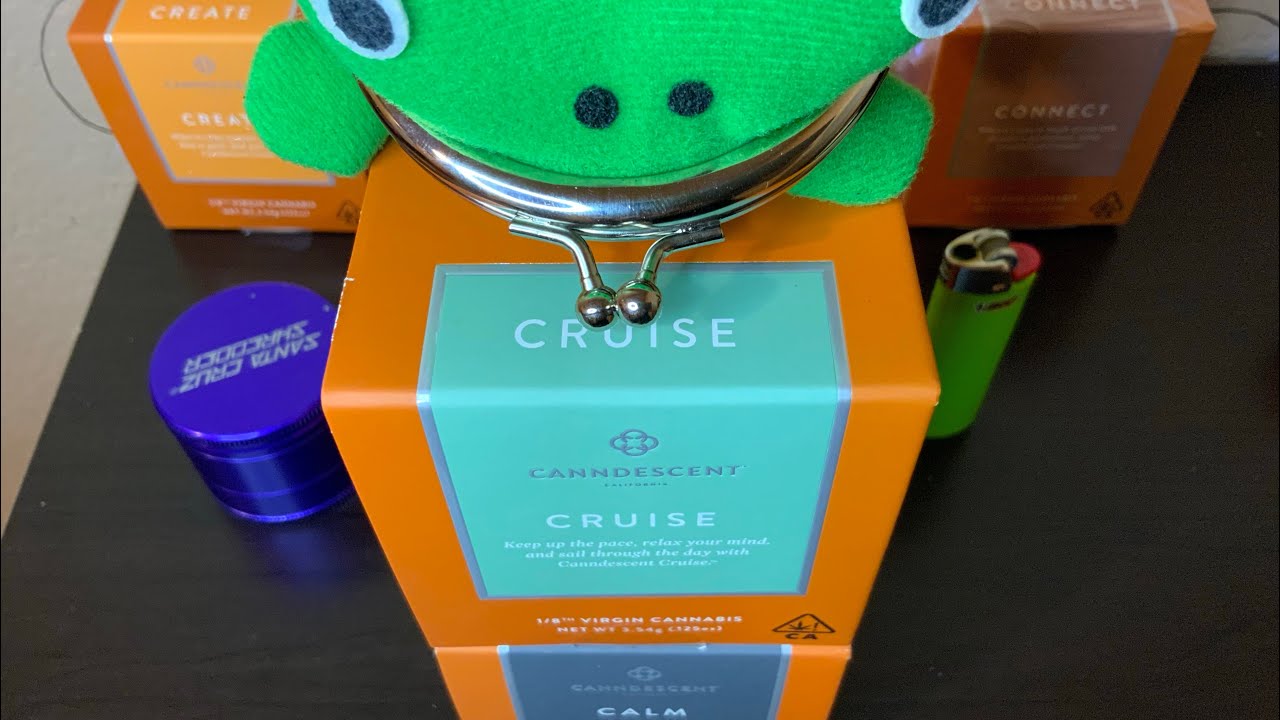 Canndescent: Cruise 298⛵