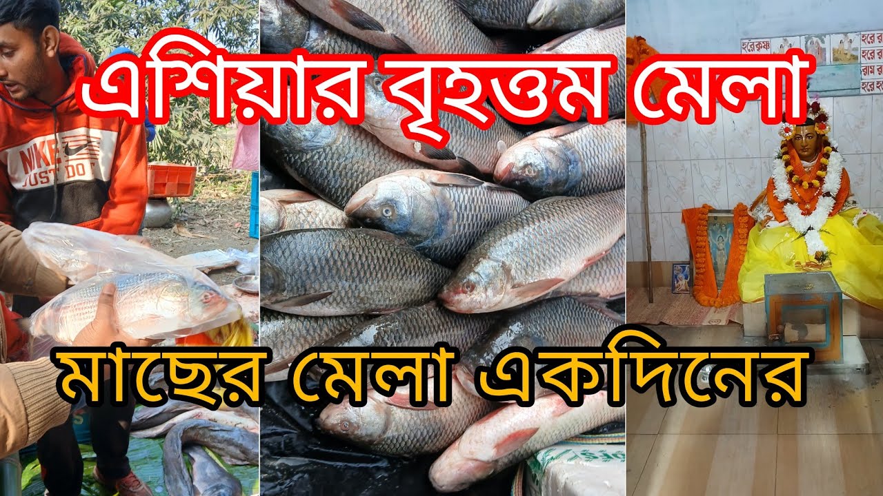 # হুগলি জেলার অন্তর্গত আদি সপ্তগ্রাম কেষ্টপুরে মাঘ মাসের পহেলা তারিখে মাছের মেলা ২০২৬।