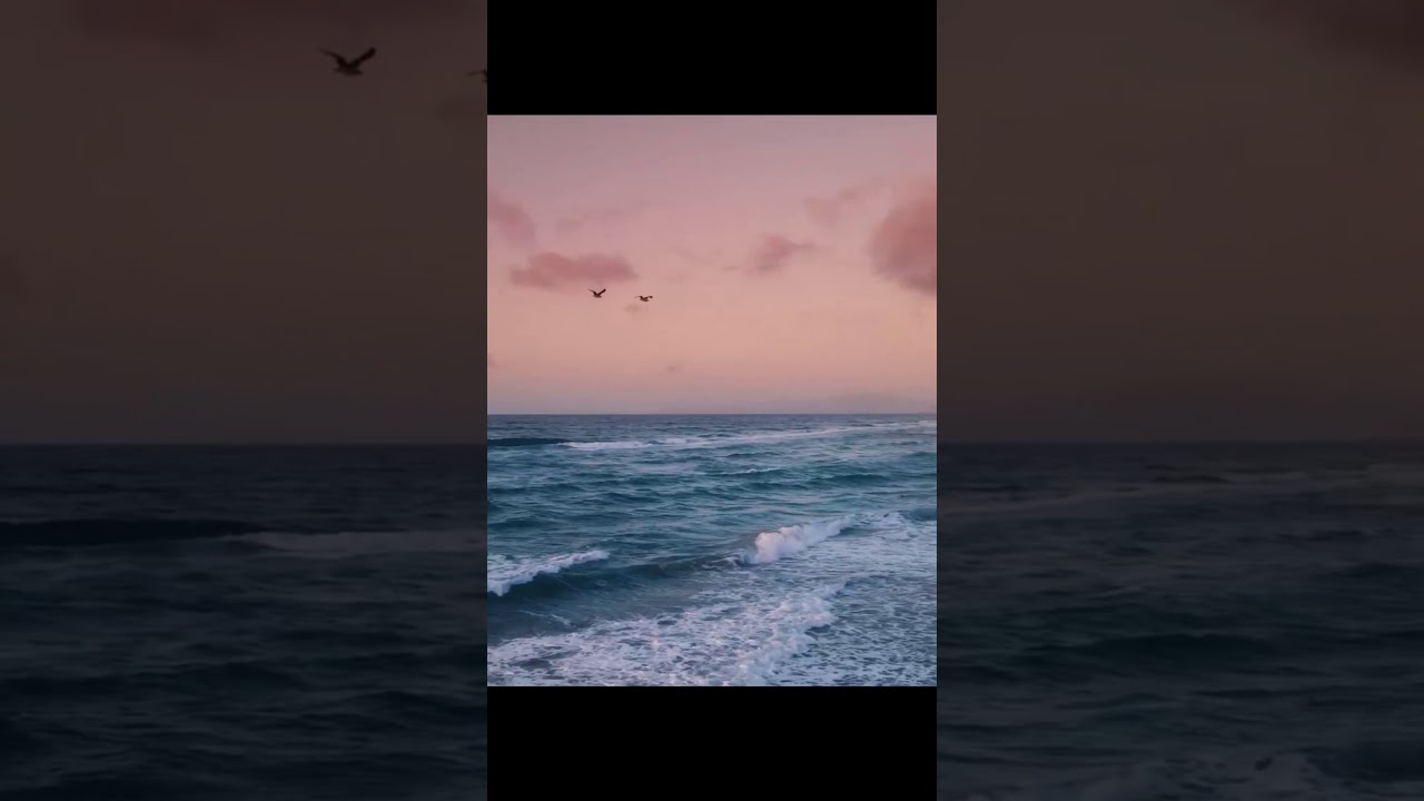 Aesthetic videos | happiness ambience