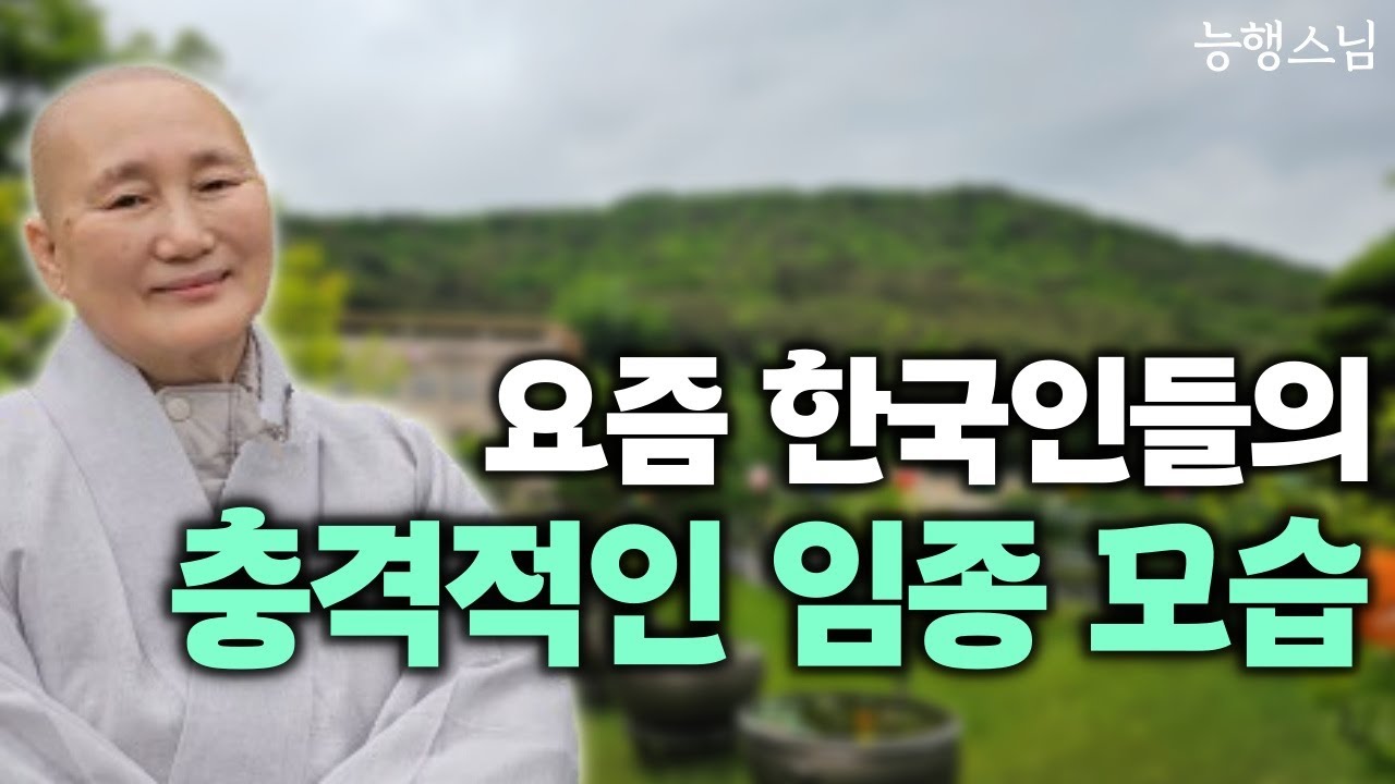한국인이 죽기 직전까지 놓지 못하는 것 | 우리는 반드시 죽습니다, 죽음에 대해 공부 좀 해요 | 책 '우리 봄날에 다시 만나면' 죽음을 돌보는 수행자 호스피스 능행스님 인터뷰 1