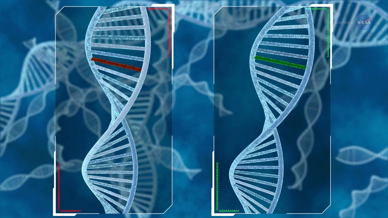 ScienceCasts: One Carbon Metabolism on the Space Station