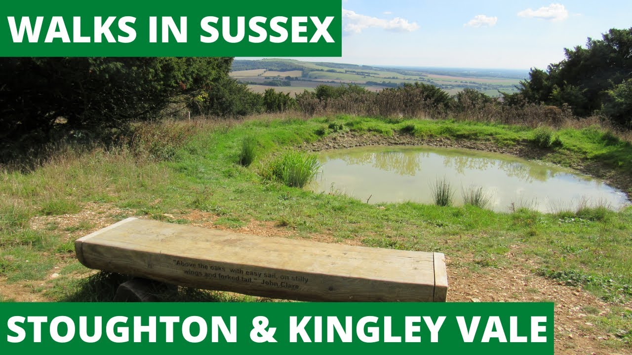WALKS IN SUSSEX at STOUGHTON & KINGLEY VALE (SOUTH DOWNS NATIONAL PARK)