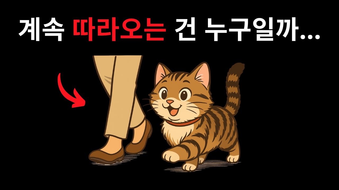고양이가 항상 당신을 따라다니는 이유 – 알고 나면 깜짝 놀랄 거예요!