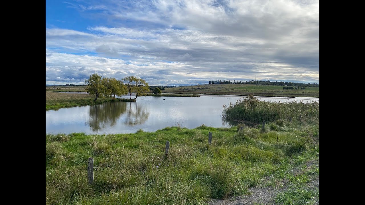 Glen Innes 2109