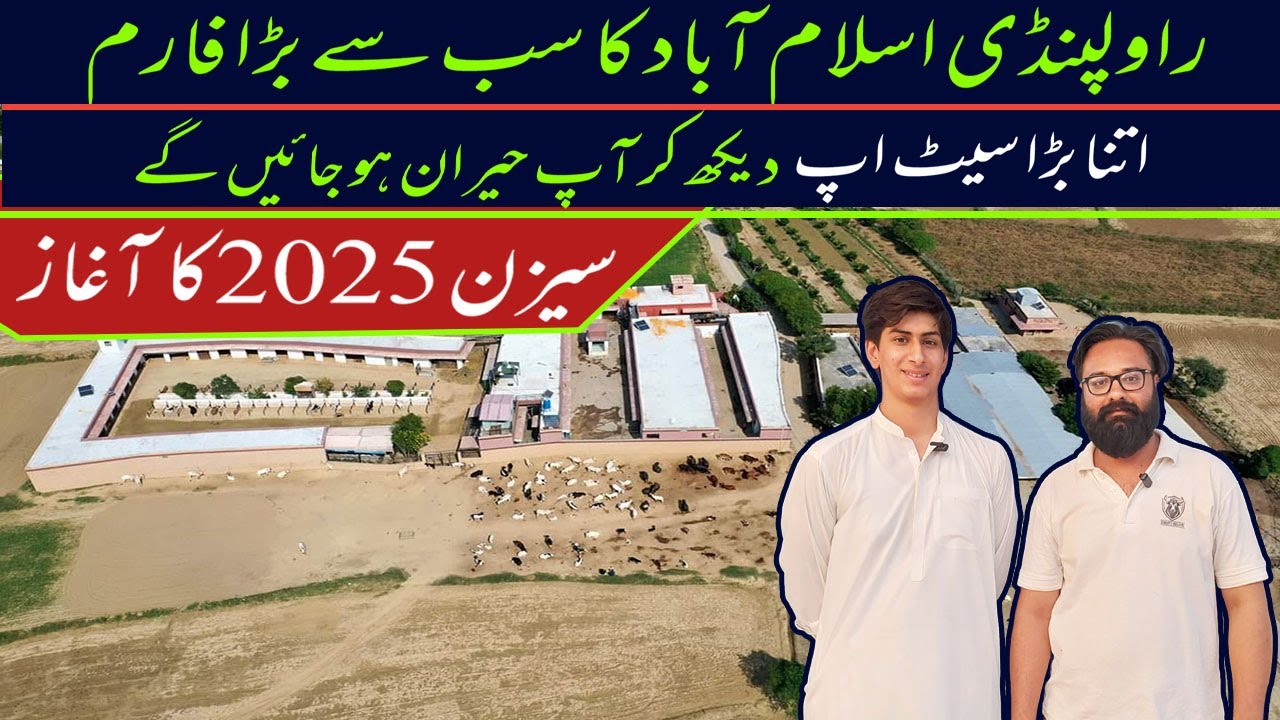 Deewan Farms Collection 2025 || Biggest Farm in Twin Cities || Fateh Jang Bulls
