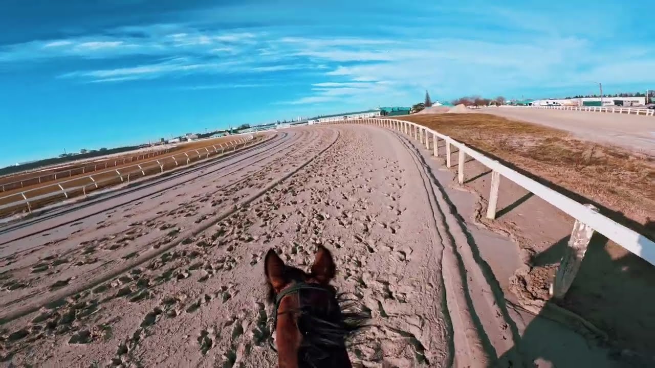 GOPRO Absolutely Stunning Blue Sky Riding a Thoroughbred Day 4 