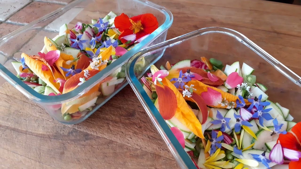 13 fleurs comestibles au potager et nouvelle ruche