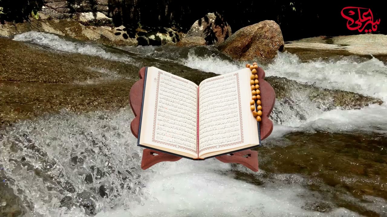 تلاوة قرآنية كريمة من أول سورة الزمر وحتى نهاية سورة الجاثية برواية حفص عن عاصم للقارئ /  نصر عوض