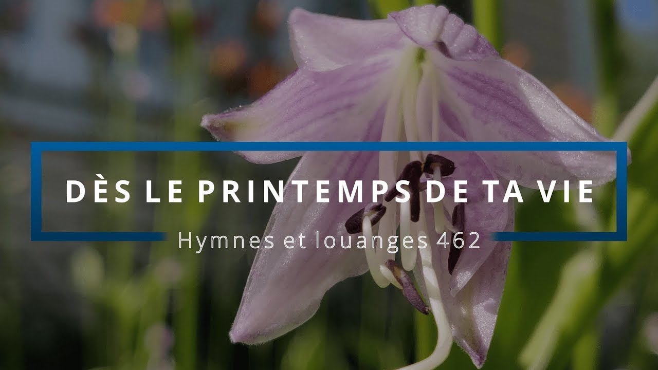 462 - Dès le printemps de ta vie (voix) | Hymnes et louanges | Audréanne Cloutier