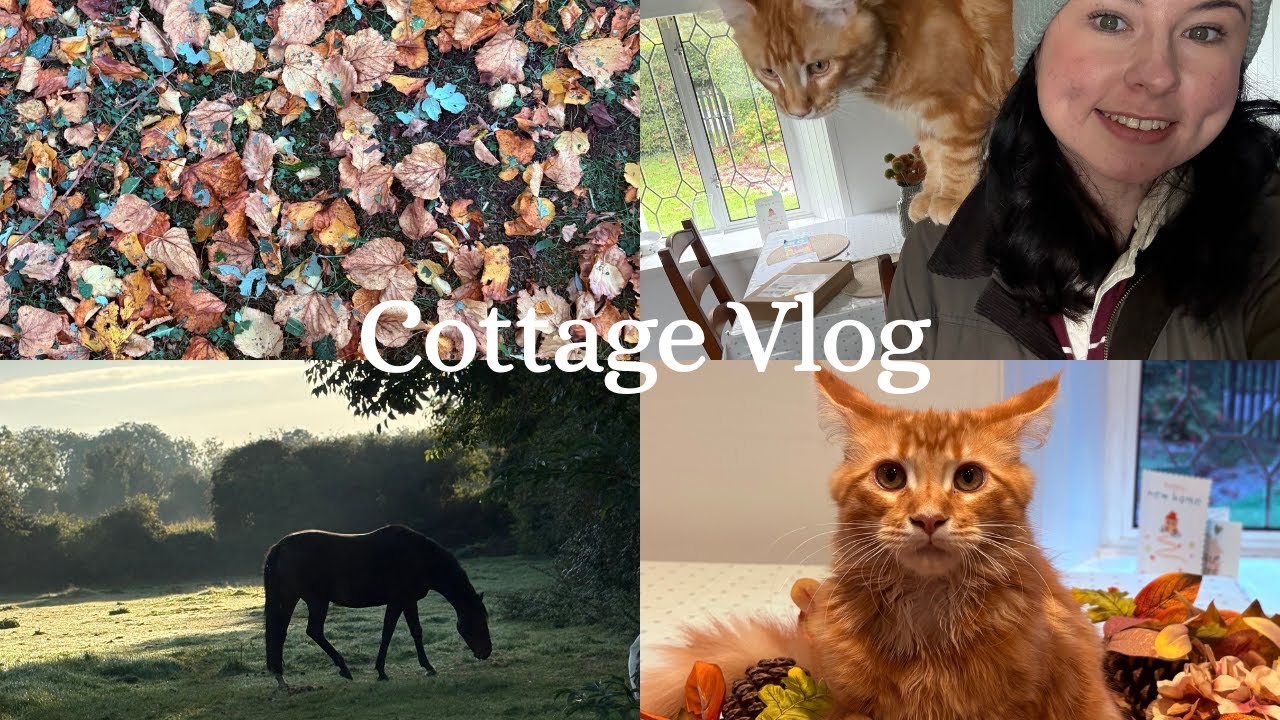 Cottage Vlog: Planting spring bulbs, H&M Autumn Haul, decorating the doorstep and an Injured pony