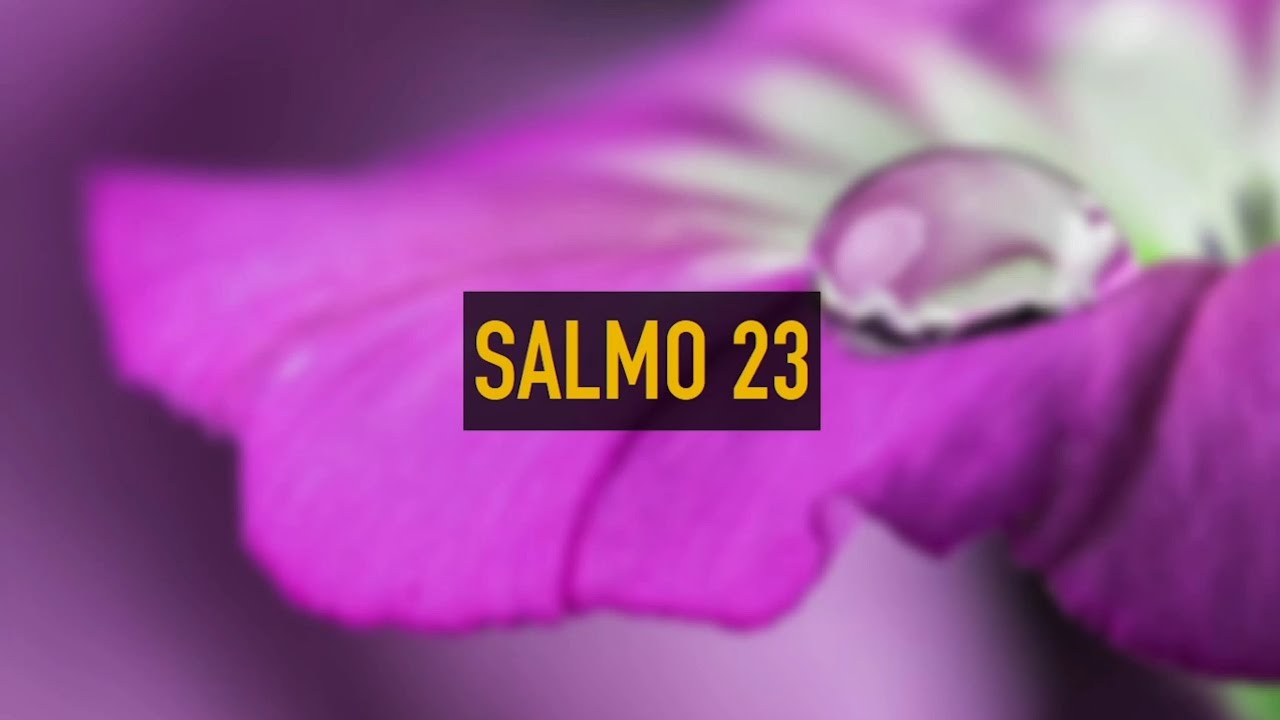 Salmo 23 - Iveline - Playback