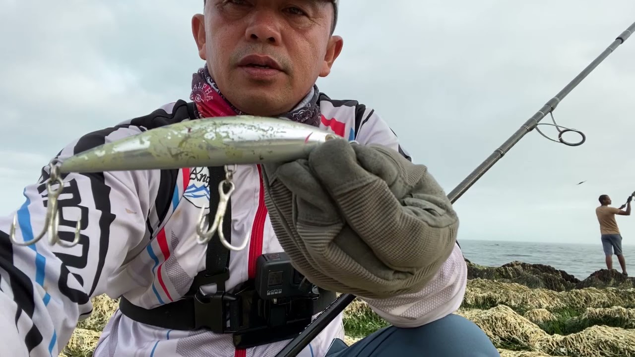 Using Old Lure for Catching Trevally and Bluefish | Fishing in Oman | Shimano Saragosa |Triple Cross