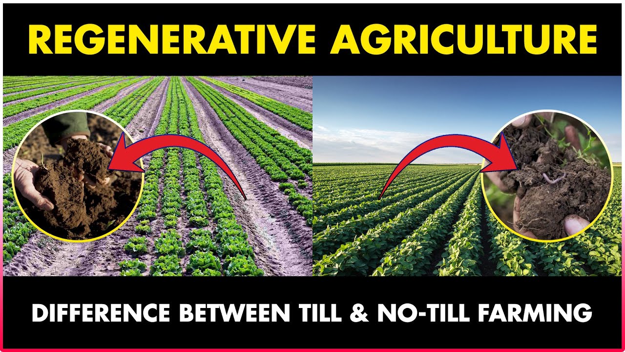 Regenerative Agriculture | Till and No Till Farming