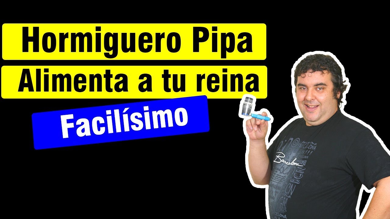 🐜🏠 Como hacer un tubo 