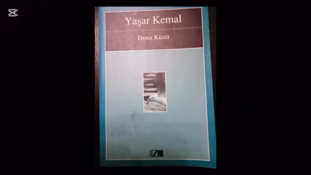 YAŞAR KEMAL- DENİZ KÜSTÜ- 13. BÖLÜM- TURGAY AKPINAR'IN SESİNDEN 