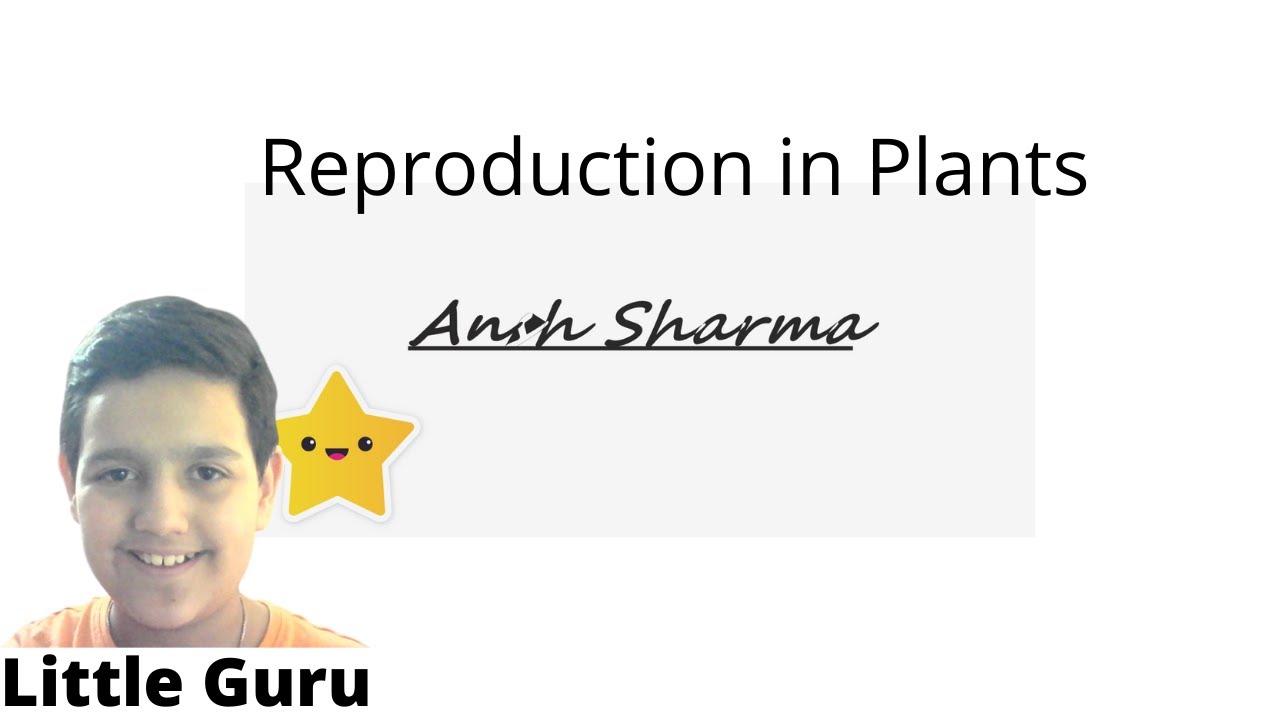 Reproduction in plants | Explained in detail | Ansh Sharma | Little Guru