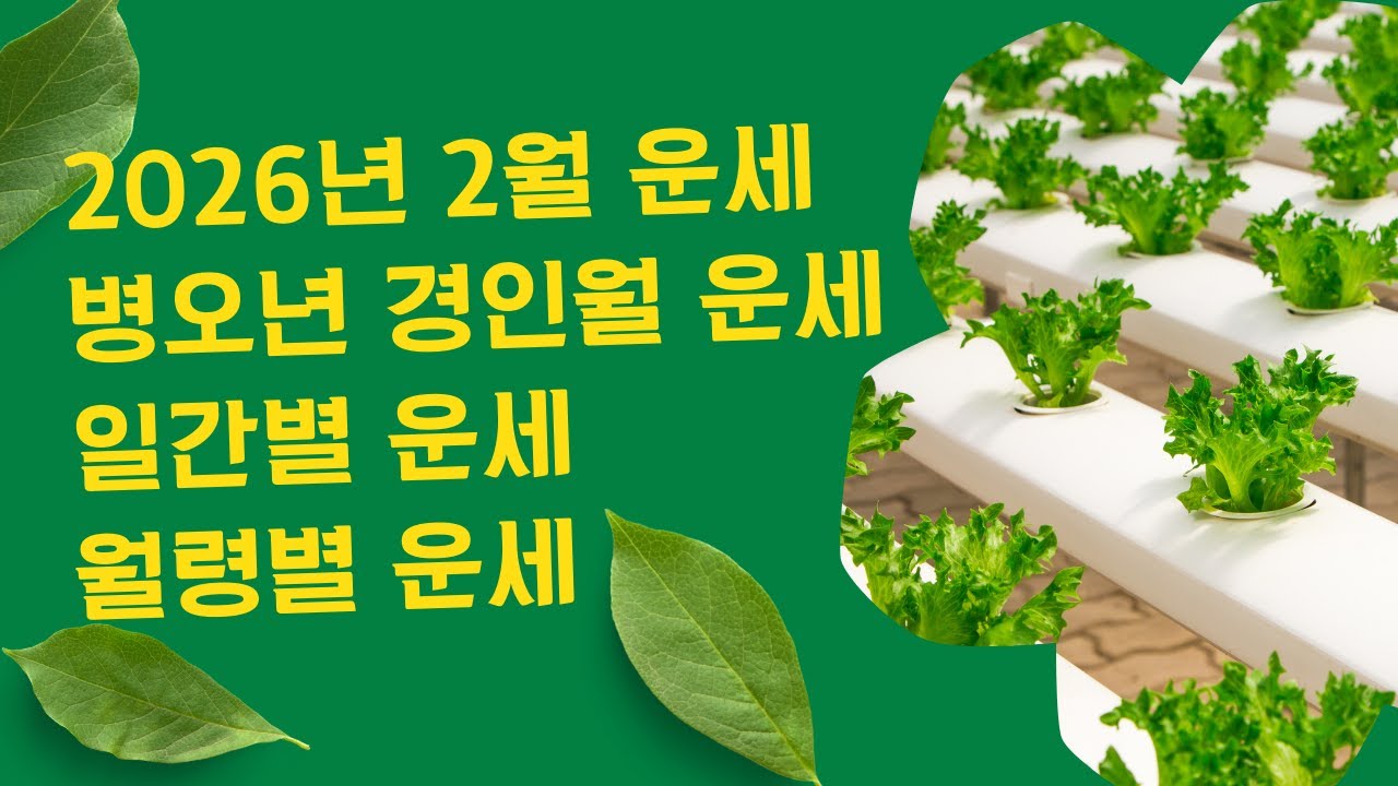 2026년 2월 운세 병오년 경인월 운세ㅣ멀리보고 움직이기
