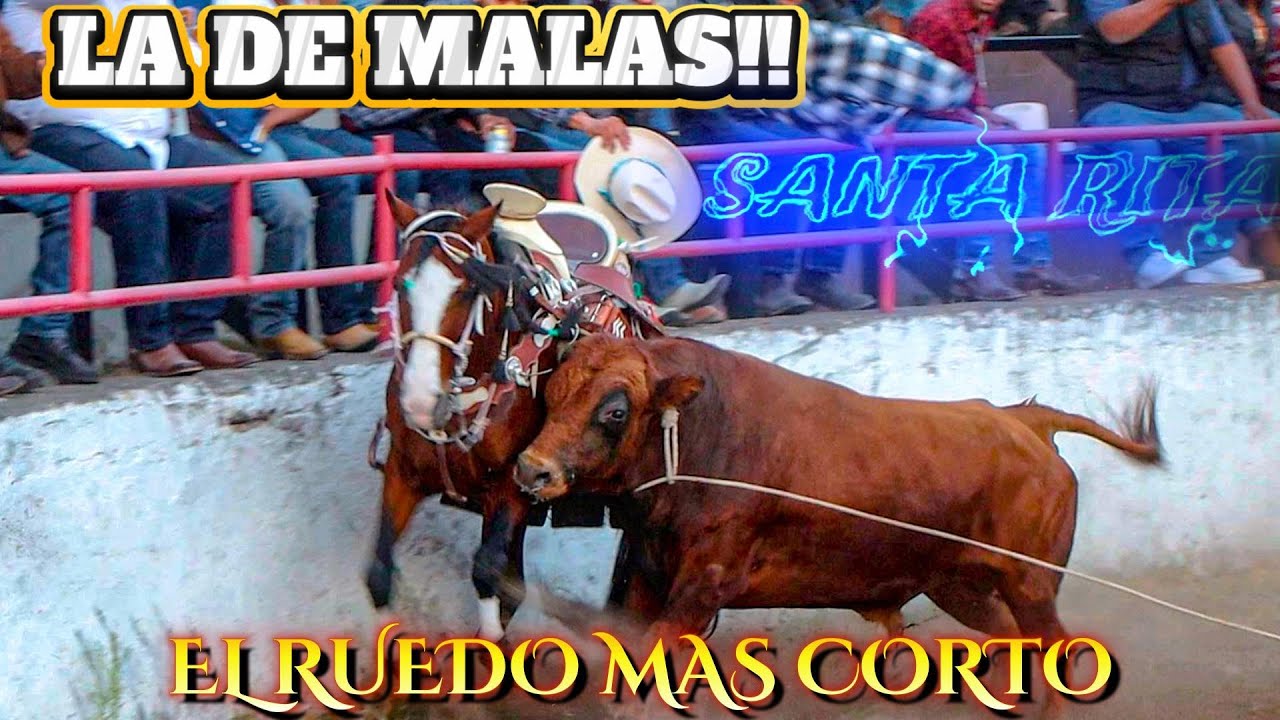 Le Toco la de malas en El Ruedo más corto de Michoacan Santa Rita Michoacan