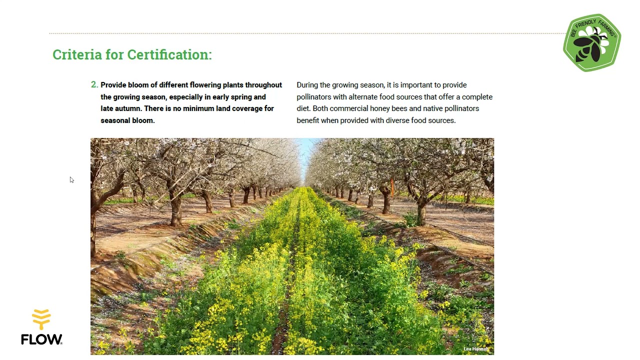 Fiona Chambers - Wheen Bee Foundation - Bee Friendly Farming