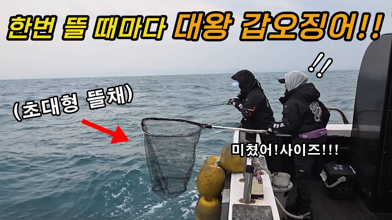 옆에서 대물 갑오징어 쓸어 담으면 생기는 일ㄷㄷㄷ 저는 집에 갈랍니다...