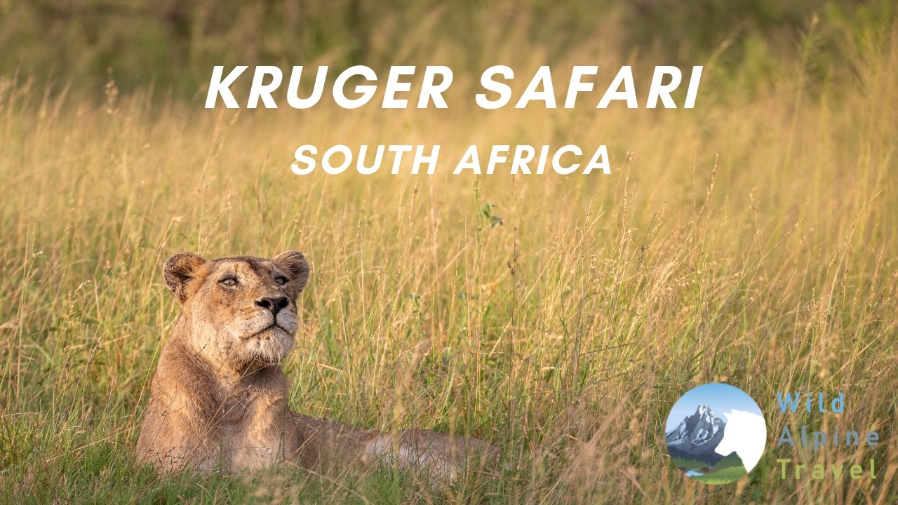 Kruger national Park Safari- South Africa