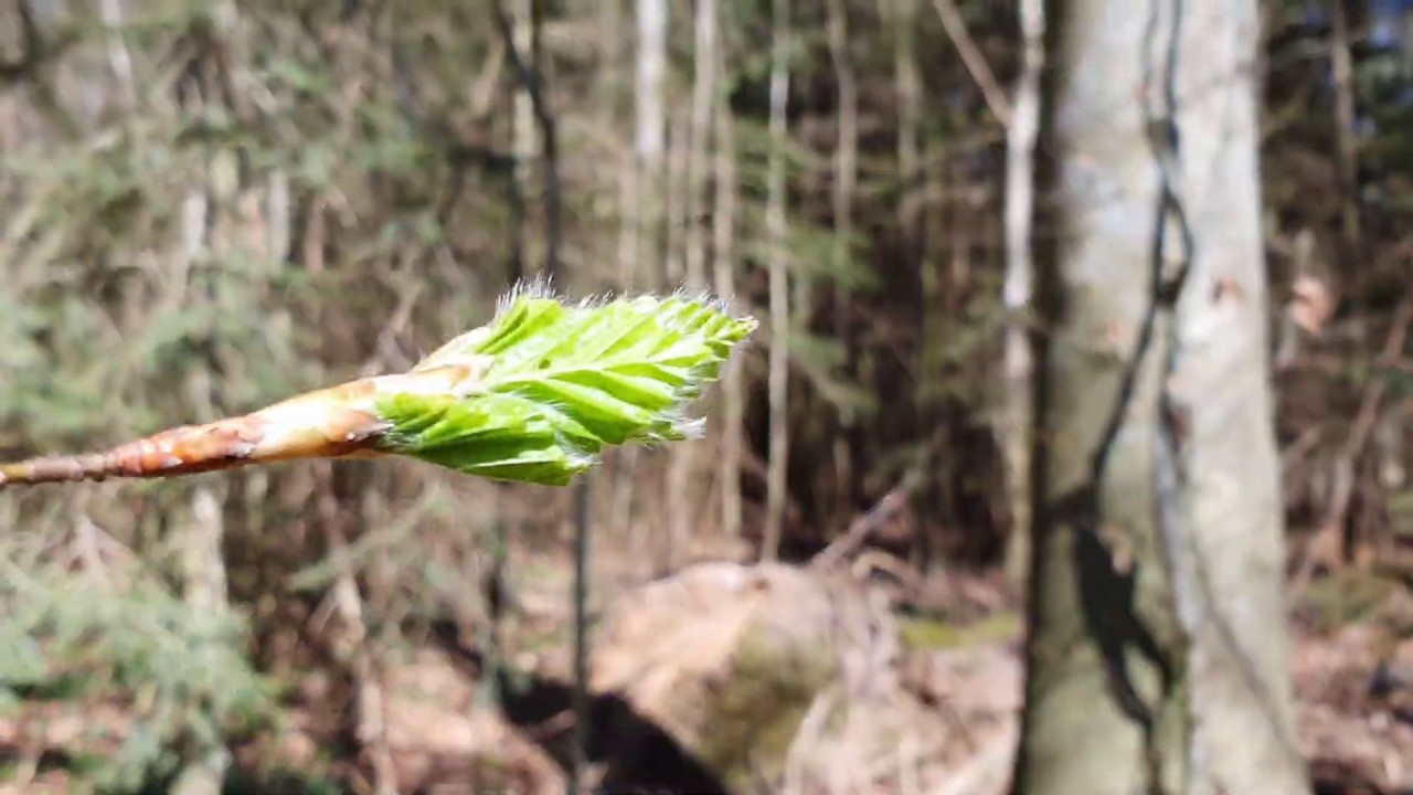 For&aring;r i Danmark