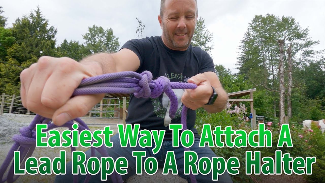How I Tie My Lead Ropes On To My Halters