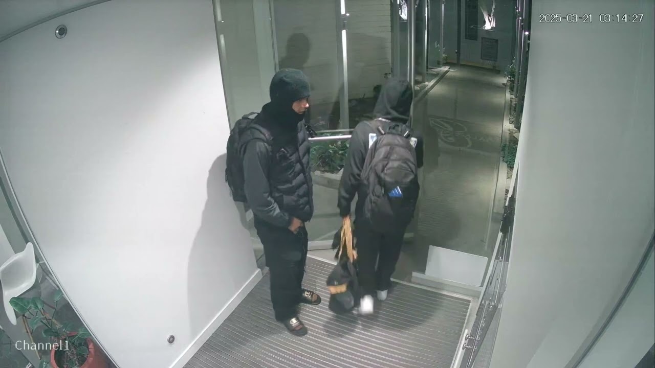 21 Mar 2025 - 🚨 Repeat Offenders Alert – Mail Theft & Attempted Break-In 🚨