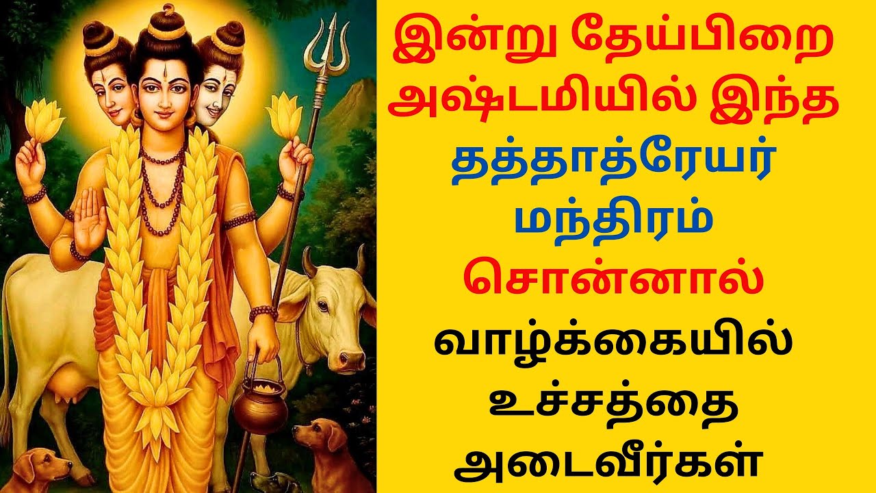 இன்று தேய்பிறை அஷ்டமியில் வாழ்க்கையின் உச்சம் தொட தத்தாத்ரேயர் மந்திரம்