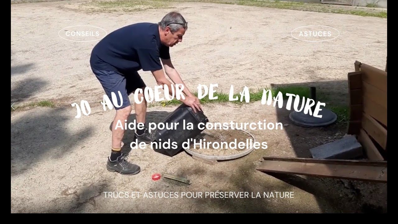 Aide pour la construction du nid des Hirondelles
