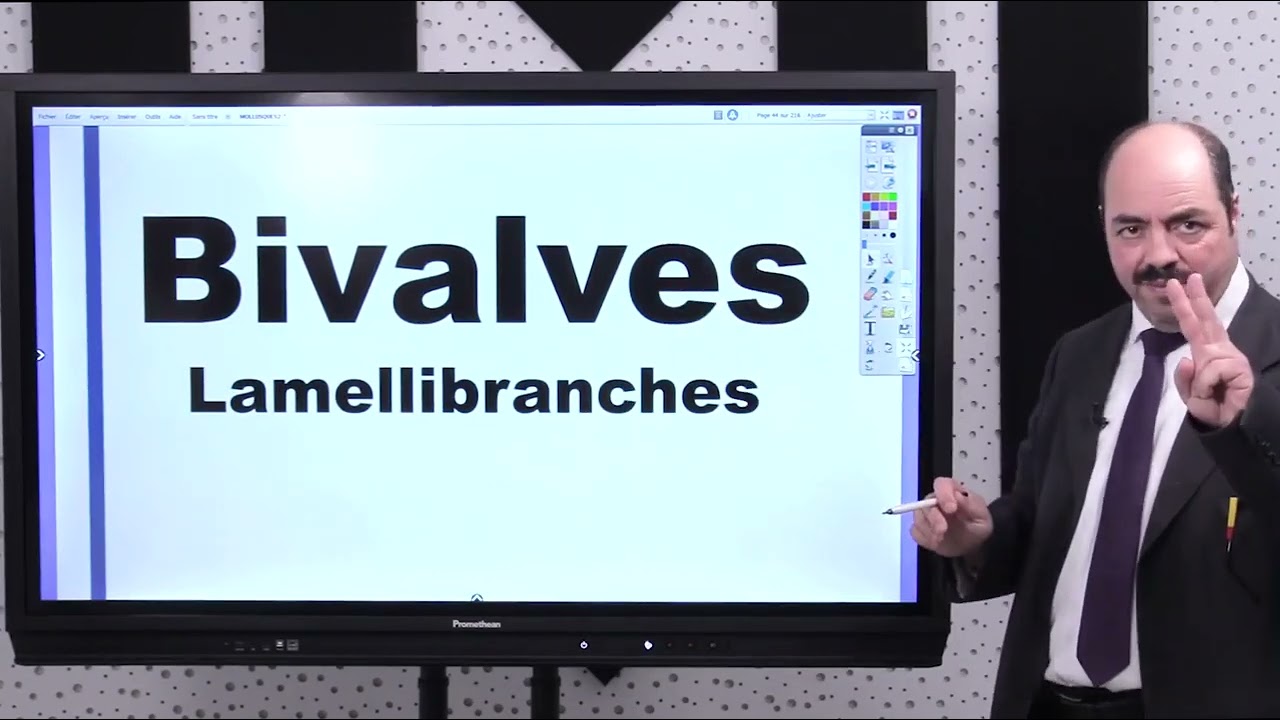 Faunistique CHAPITRE 4 : MOLLUSQUES