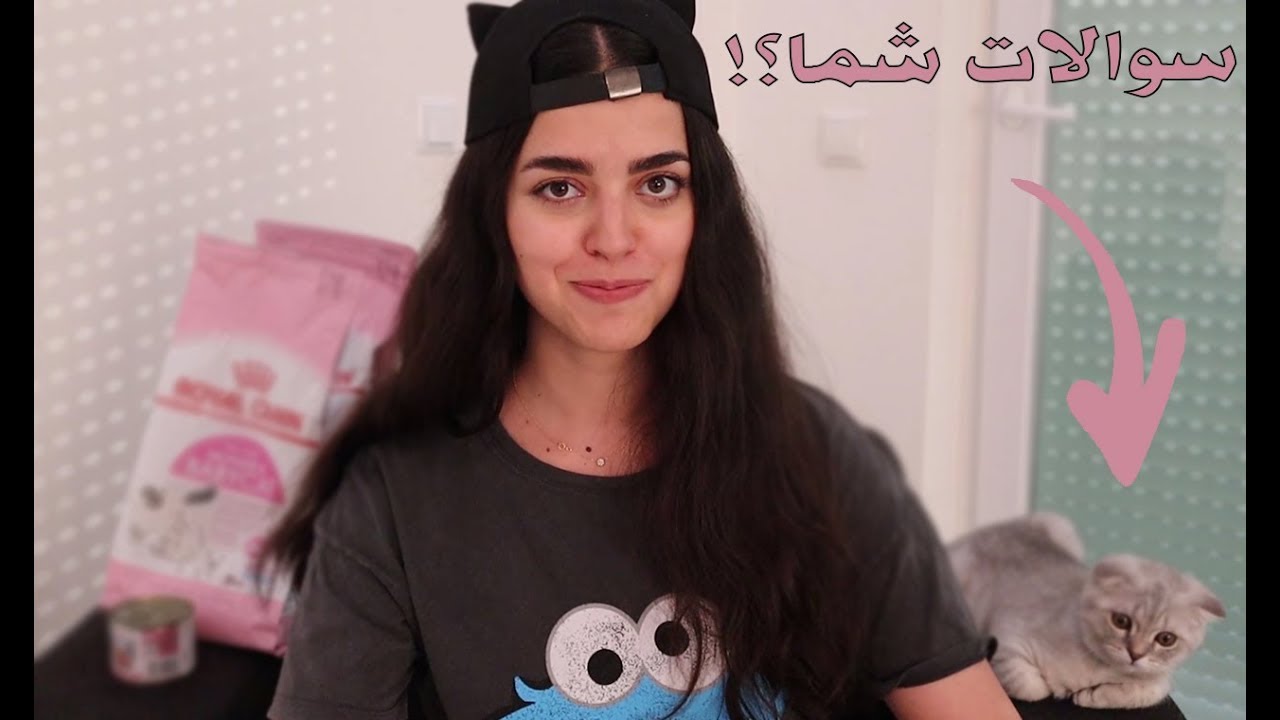 سوالات شما درباره نگهداری گربه 🐱 Cats / Guide / Care