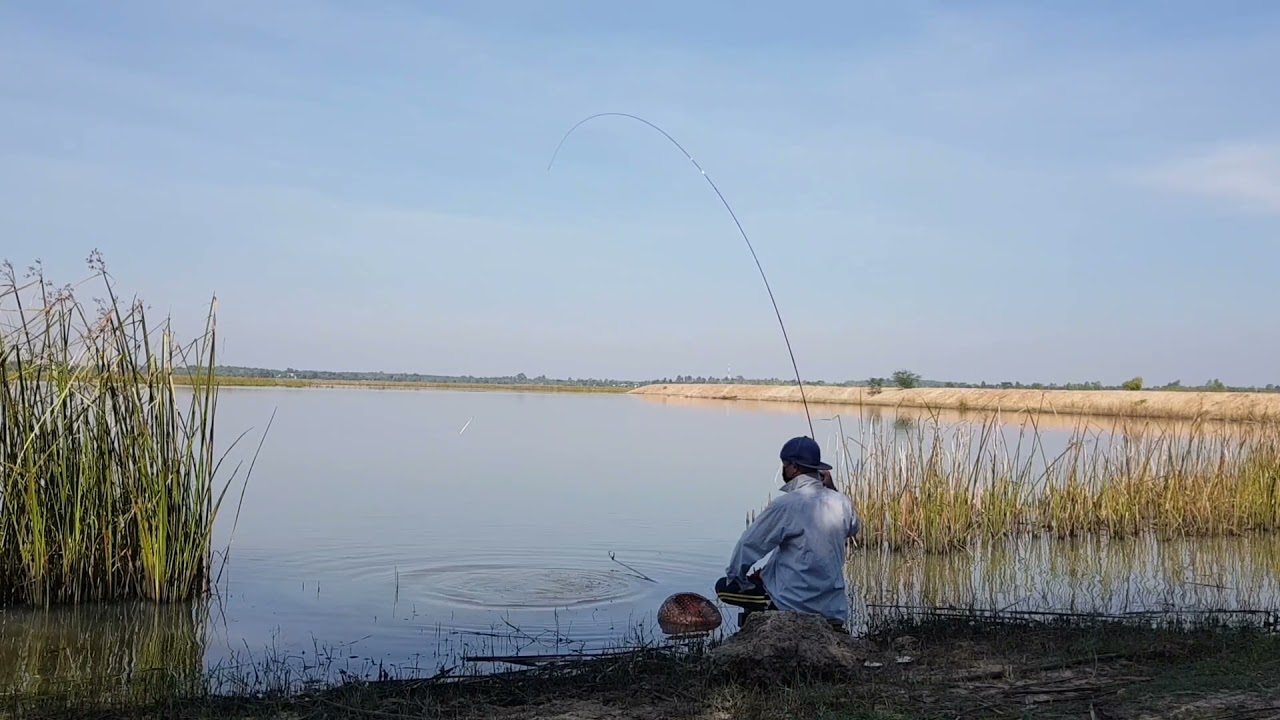 Fishing Barbonymus Gonionotus Water Source Natural With W.Haibin 孤 奏 3.0 m