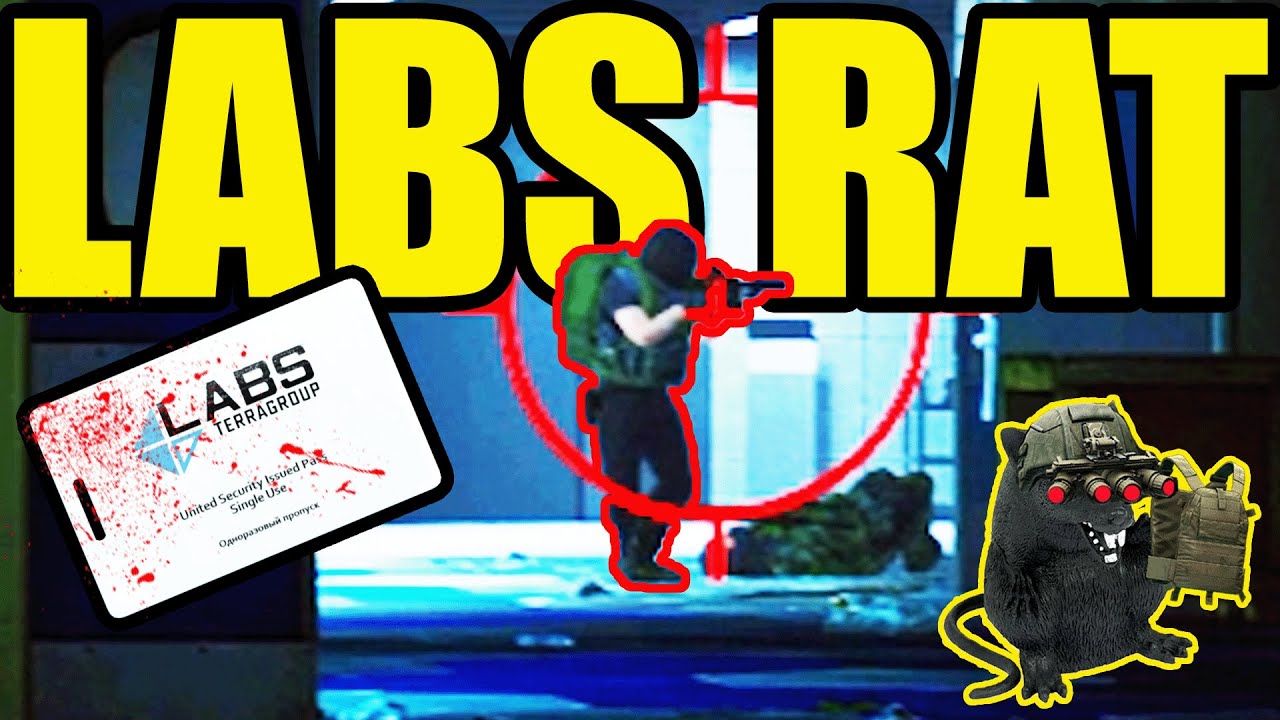 DEEP SEA FISHING *Labs*🐀 || Escape From Tarkov (Ratting/Extract Camping)