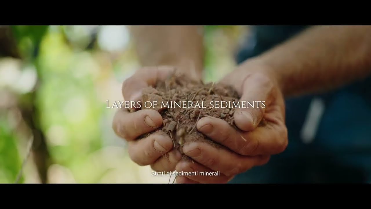 DE BURIS RADICI OFFICIAL VIDEO - Amarone 2011 e Valpolicella Superiore 2017