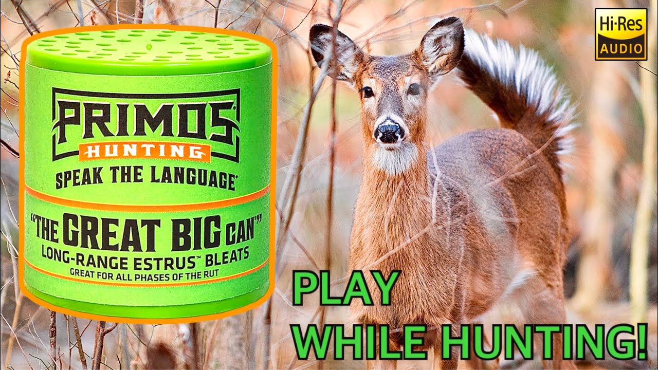 Sound Only: Primo&rsquo;s &ldquo;Great Big Can&rdquo; Estrus Doe Bleats Long-Range (Play While Hunting)