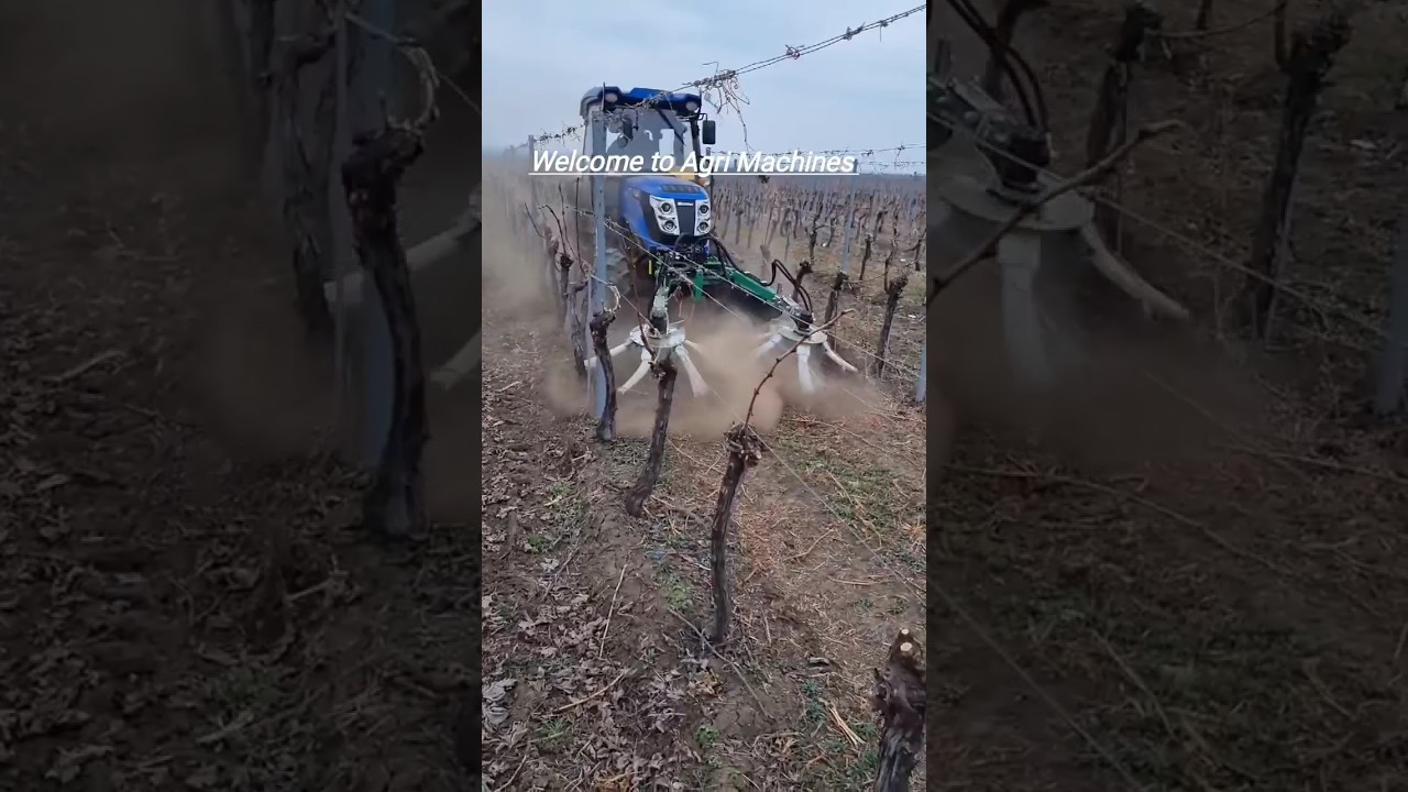 Windrower RX300 For Vineyards || Made By FA.MA Pruning Srl Italy || #shorts