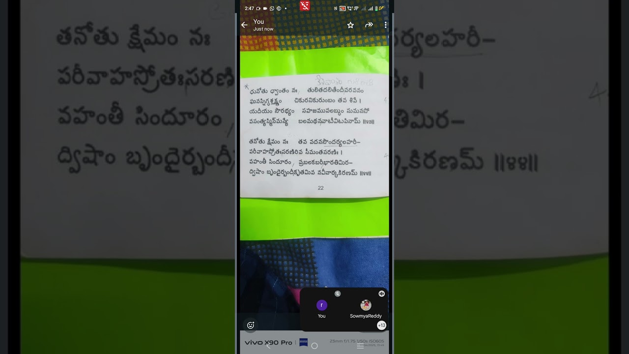 సౌందర్య లహరి 44 శ్లోకం భావం