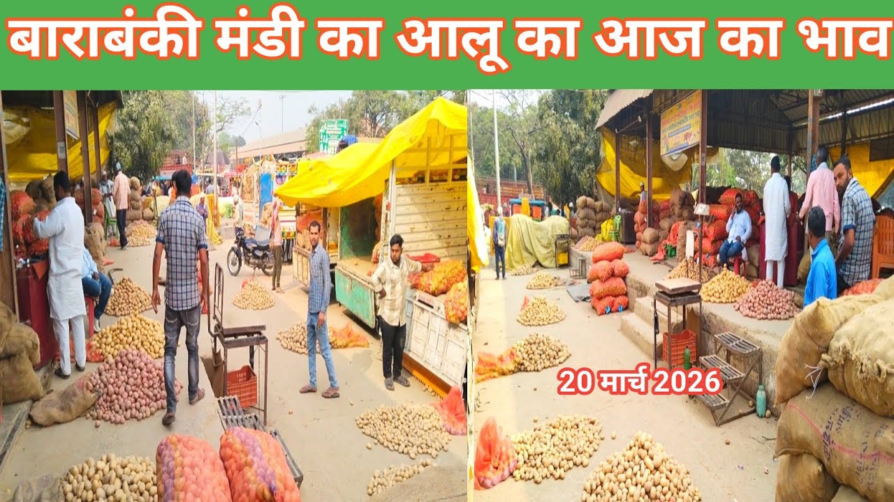 March 20, 2026 Barabanki💯 Barabanki Mandi ka Aalu ka aaj ka bhav 🗞️ Aaj ka aalu ka bhav 🥔 mandi bhav