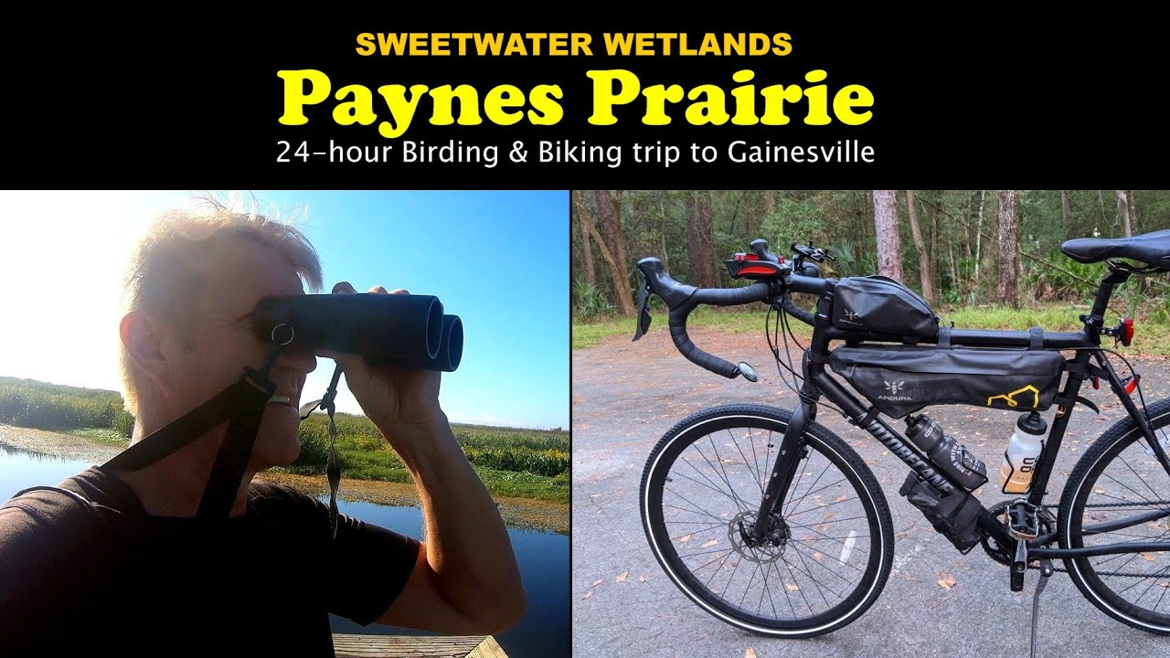 Birding and Biking in Paynes Prairie and Sweetwater Wetlands in Gainesville.