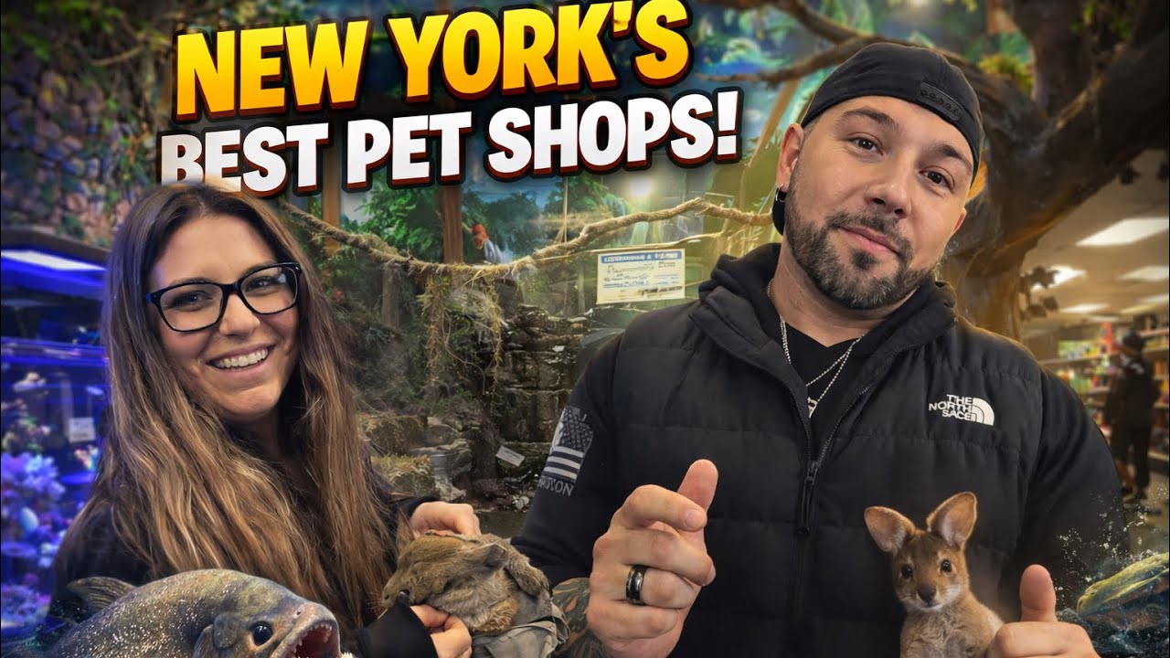NYC WILDEST PET SHOPS! Baby wallabies and River monsters.(Part 1)