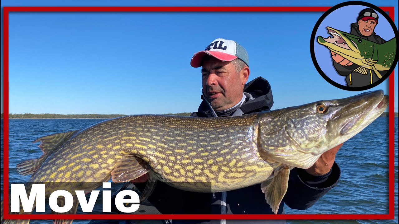 🎣 FISHING FOR BIG PIKES IN SWEDEN 🎥 | vissen op roofvis | pike fishing | snoek | Vanern | Åmål #14