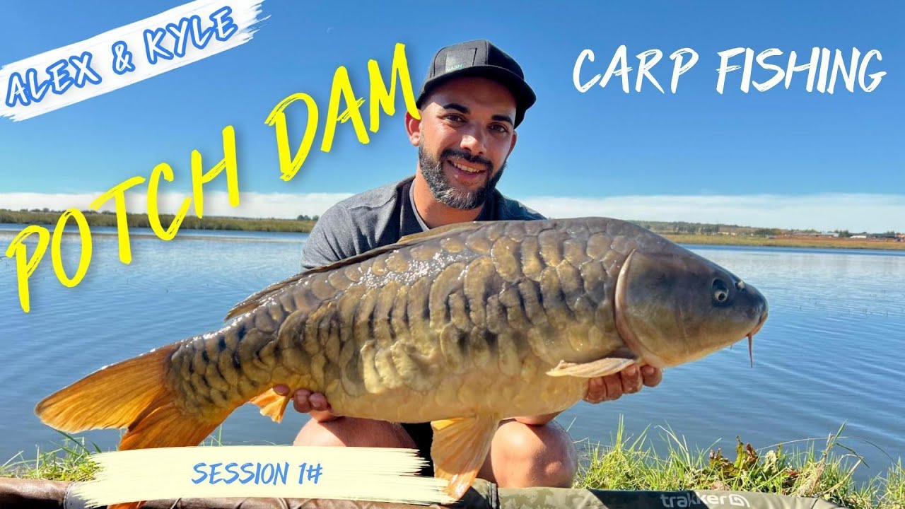 CARP FISHING !!!! POTCH DAM!!! STUNNING CARP CAUGHT !