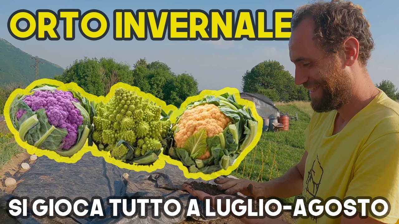 Come fare l'orto INVERNALE