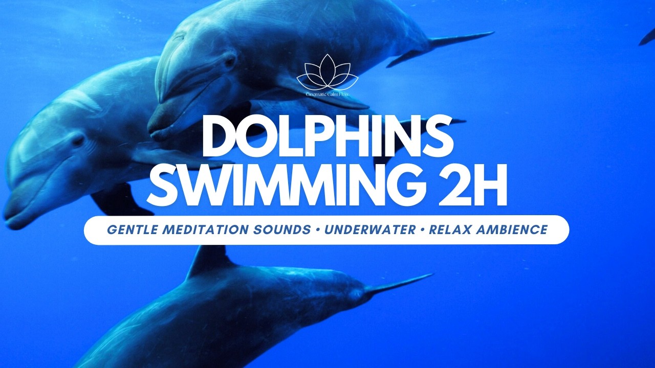 2 Hours Dolphins Swimming 🐬 | Ocean Meditation Music & Underwater Sounds